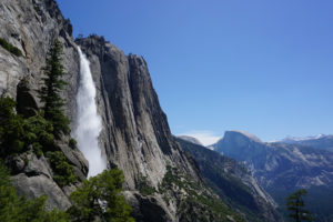 DSC00498-2