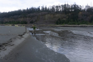 Gold Bluffs Beach