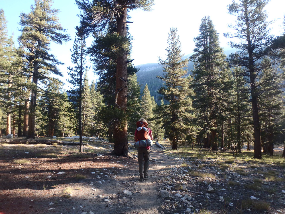  Backpacking the Rafferty Creek Lyell Canyon Loop 