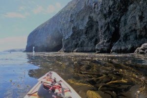 Kayak Santa Cruz Island Channel Islands National Park