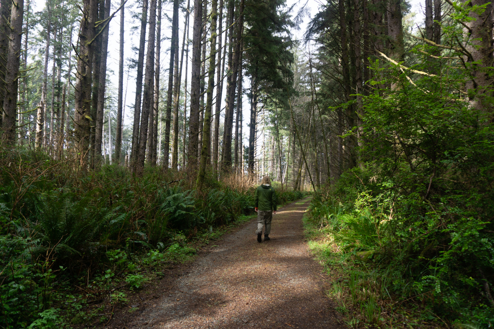 Redwoods Loop trail