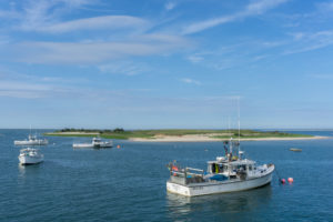 DSC06126