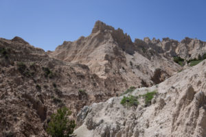 Backpack Deer Haven Badlands