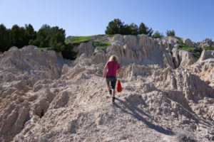 Backpack Deer Haven Badlands