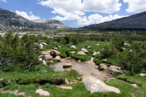 Young Lakes Yosemite National