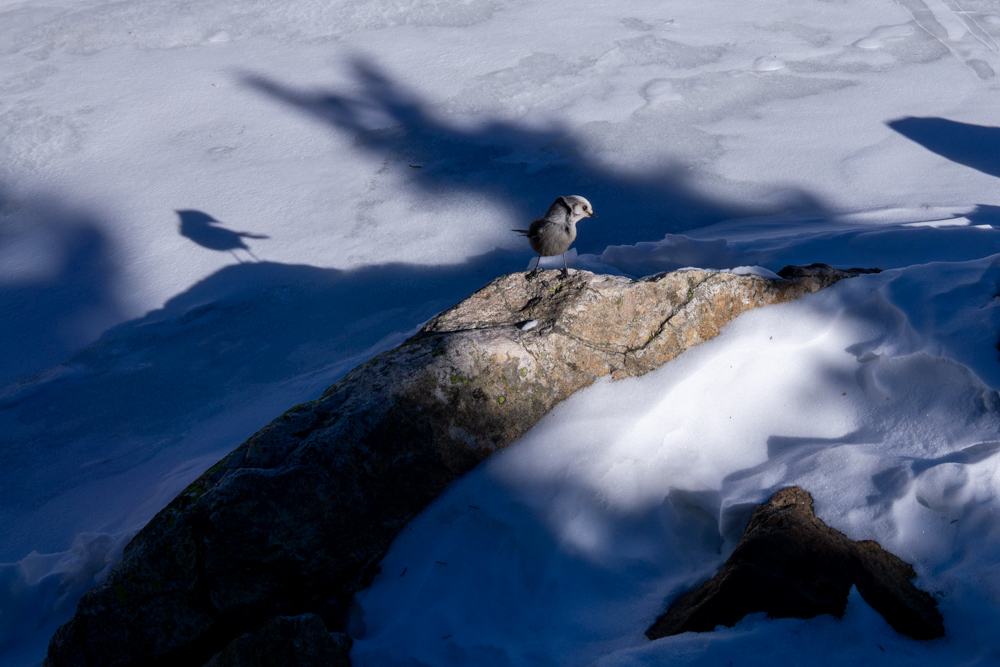 Crater Lakes James Peak