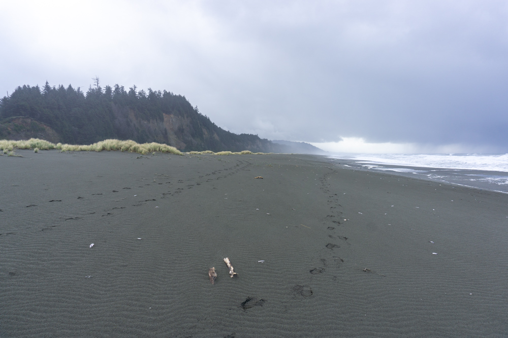Redwood National Loop day-hike